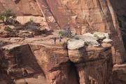 People overlooking the Coke Ovens