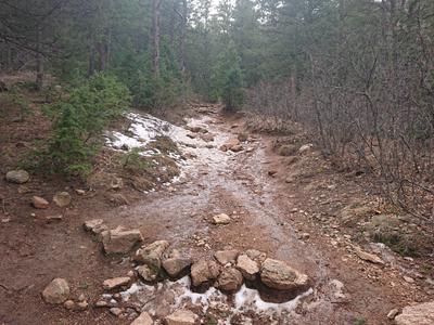 Steep section of the Section 16 trail